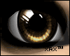 XRX | M&F | Eyes brown |