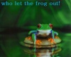 Frog sticker