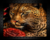 🐆 Leopard Cutout