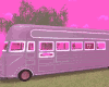 Neon Pink Bus