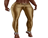 RLL Sexy Gold Pants