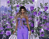 Frame Purple Roses Photo