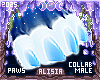 ⟡ Snöw Paws