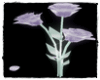 [Gel]Purple rose