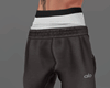 Gym Pants alo