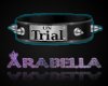 [AD]On Trial Collar 