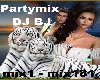 Partymix - DJ BJ