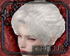 Enchanted Veil Hair DRV