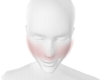 Z| Derivable Face Mask