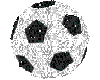 Soccer Ball