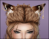 Brown Cat Ears