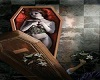Bed of the Night