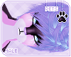 [Pets] Celest | hair v5