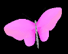 Neon Pink Butterflies