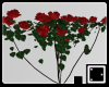 ♠ Fence Climb Roses