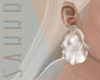 ◎ seashell earring ◎