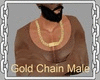 Gold Chain Male