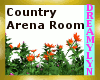 !D Country Arena Room