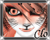 [Clo]Red Fox Furkini M