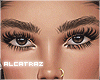 Thick Eyebrows Black