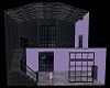 Purple and Black Apt