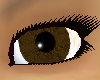 ashley brown eyes