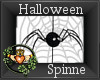 ~QI~ Halloween Spinne