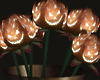 Jack-O-Lantern Bouquet