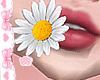 R. w. Daisy in Mouth