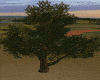 Animated Windy Tree