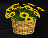 Sunflowers Basket