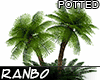 *R* Potted Palm Plant RB