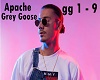 Apache - Grey Goose