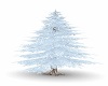 Winter Tree Pine