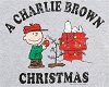 40% charlie brown kids 