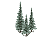 Winter Trees
