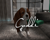 Beagle*