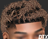 DTZ - ZAY TWISTS BLD