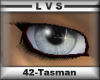 LVSPARKLEIs-Tasman