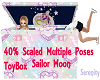 SailorMoon ToyBox