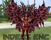 {IND} Maroon Double Wing