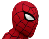 The Spider-Man
