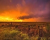 Western sky bkg
