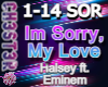 Halsey Im Sorry My Love