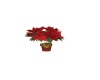POINSETTIA WITH GOLD BOW