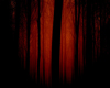 BLOOD FOREST