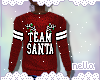 Team Santa Sweater.