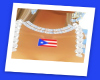 JBB*PuertoRicoFlagTattoo