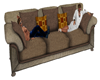 Brown Couch