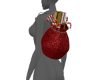 ~E~ Xmas Regality Bag